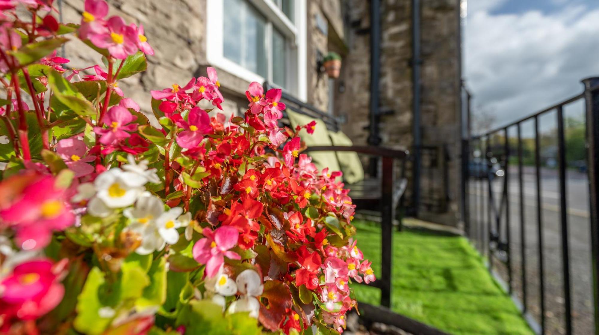 Wee Toad Hole Heart Of Kendal - Cottage Sleeps 4-6 - Dogs Welcome 외부 사진